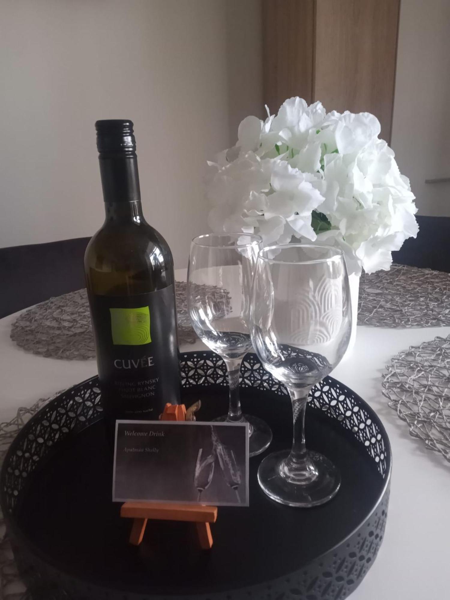 Apartman Shelly Vlachy Buitenkant foto